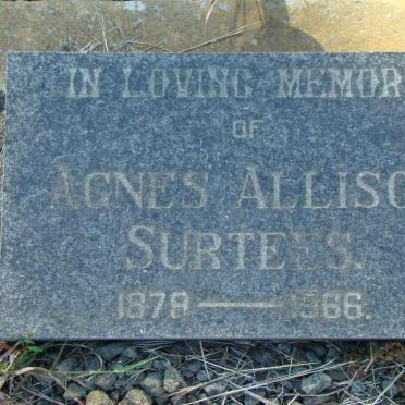 SURTEES Agnes Allison 1879-1966