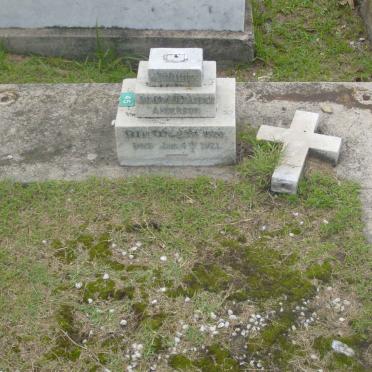 ANDERSON James Alexander 1920-1921
