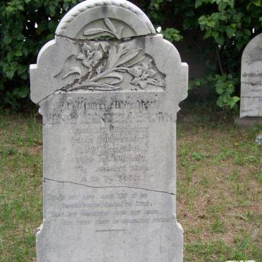 BROWN Henry Ebenezer 1849-1924