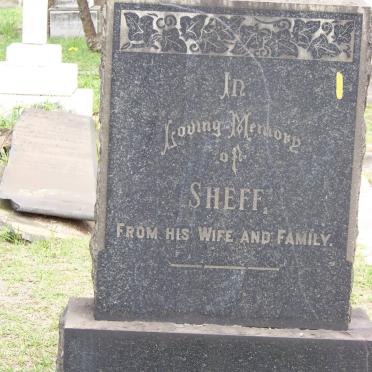 SHEFF -1924
