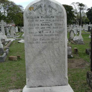 TEALE William Rudolfh -1891:: TEALE Joseph Harold -1901:: TEALE Guy Evelyn -1931