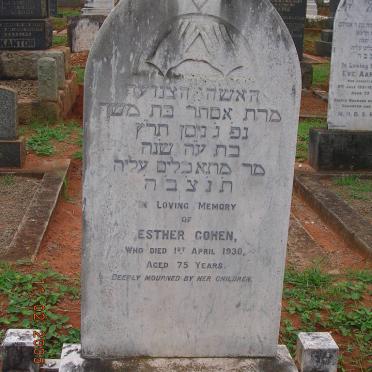 COHEN Esther -1930