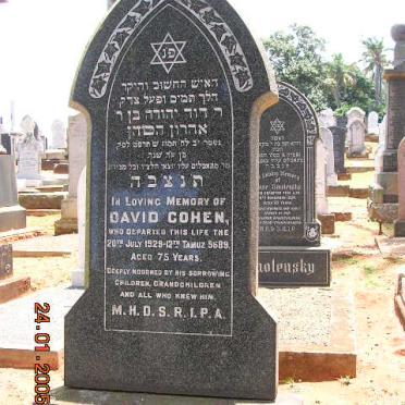 COHEN David -1929