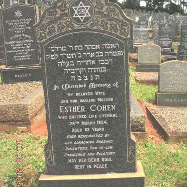 COHEN Esther -1954