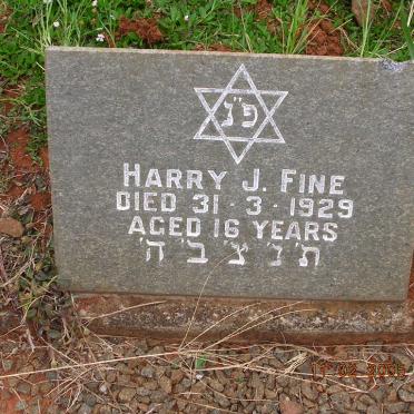 FINE Harry J. -1929