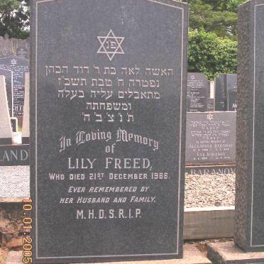FREED  Lily -1966