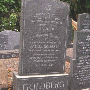 GOLDBERG Nathan -1977
