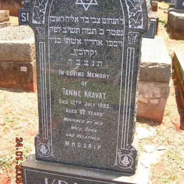 KRAVAT Tanne -1952