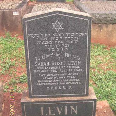 LEVIN Sarah Rosie -1966