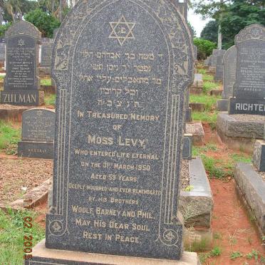 LEVY Moss -1950