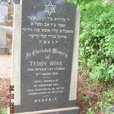 ROSE Teddy -1971