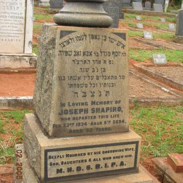 SHAPIRO Joseph -1934