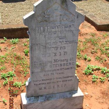 STEINBERG Annie -19??