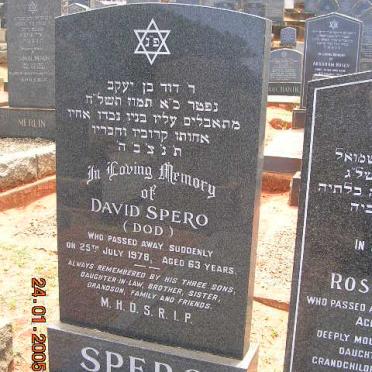 SPERO David -1978