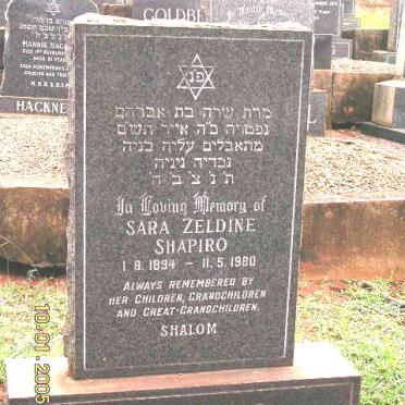 SHAPIRO Sara Zeldine 1894-1980