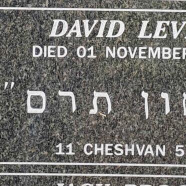 LEVINE David -1903