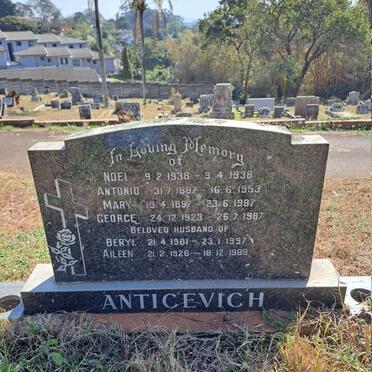 ANTICEVICH 