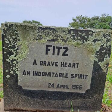 FITZ -1965