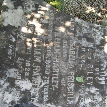 HARTLEY William 1828-1911 &amp; Isabella Priscilla -1903 :: HARTLEY Mary -1887 :: HARTLEY Riley -1892