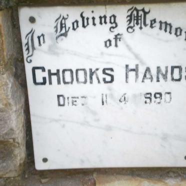 HANDS Chooks -1990