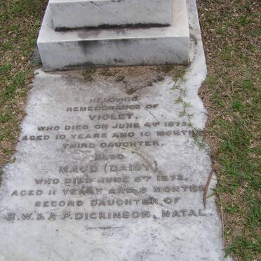 DICKINSON Violet -1873 :: DICKINSON Maud -1873