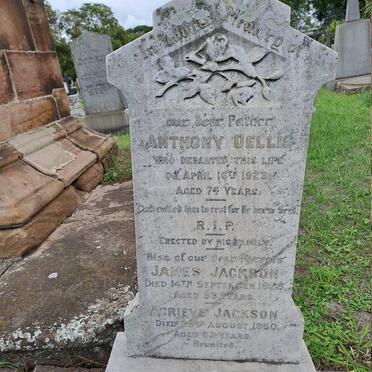 DELLIS Anthony -1923 :: JACKSON James -1928 & Agrieve -1950