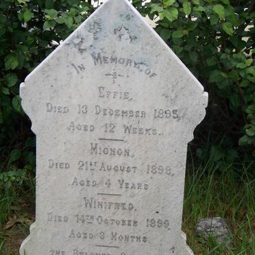 HOWELLS Effie -1895 :: HOWELLS Mignon -1898 :: HOWELLS Winifred -1899