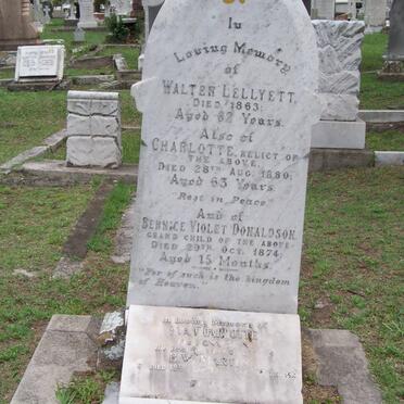 LELLYETT Walter -1863 &amp; Charlotte -1880 :: DONALDSON Bernice Violet -1874 :: MARTIN Eva Charlotte -1927
