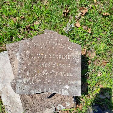 MITCHELL Redver Gardiner -1900