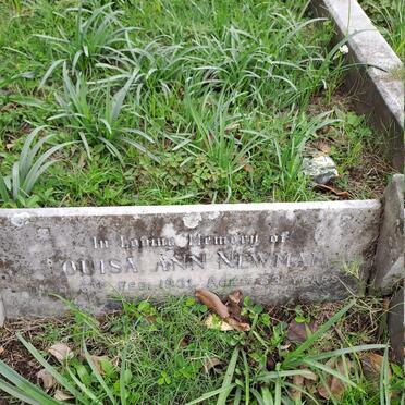 N - Vanne :: Surnames - N