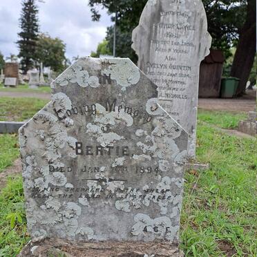 NICHOLLS Bertie -1894