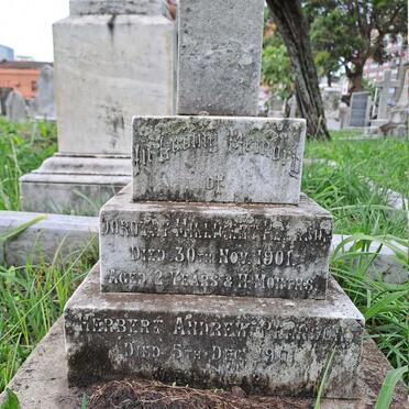 PEARSON Herbert Andrew -1901 & Dorothy Milligan -1901