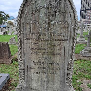 WOOD John C.S -1902 :: WOOD Peter -1948