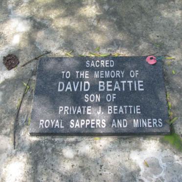 BEATTIE David