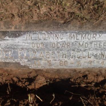 FELL Alice Elizabeth nee TAYLOR 1880-1942 :: FELL Frederick William 1881-1973 :: FELL Doreen 1902-1982