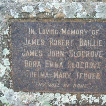 BAILLIE James Robert :: SLOGROVE James John :: SLOGROVE Dora Emma :: TEDDER Thelma Mary