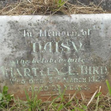 BIRD Daisy -1923