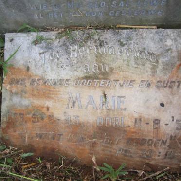 COLLINS Marie Dorothea 1945-1957