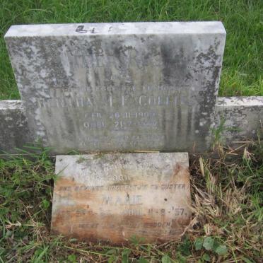 COLLINS Hertha Marie Emily 1909-1956 :: COLLINS Marie Dorothea 1945-1957
