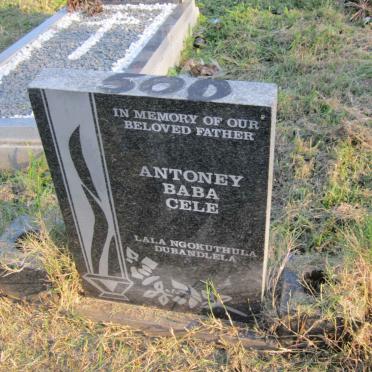 CELE Antoney Baba