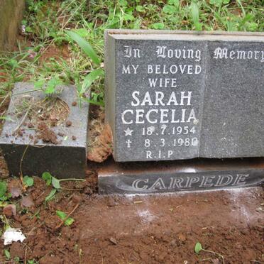 CARPEDE Sarah Cecelia 1954-1980