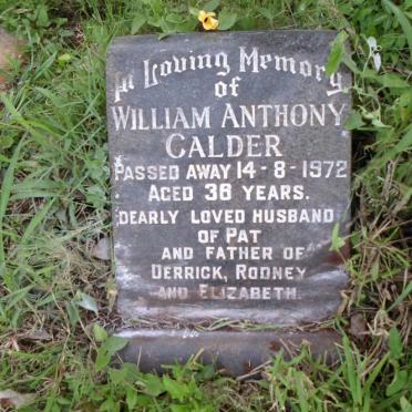 CALDER William Anthony -1972