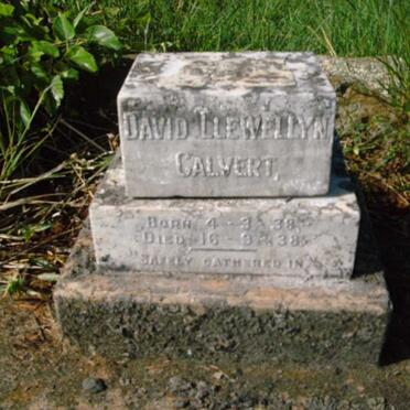 CALVERT David Llewellyn 1938-1938