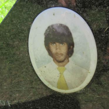 CARLS Gary Mark 1960-1979