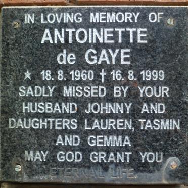 GAYE Antoinette, de 1960-1999