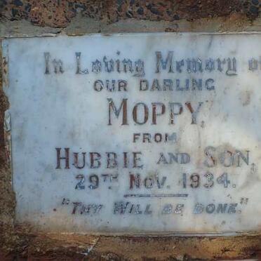 MOPPY -1934