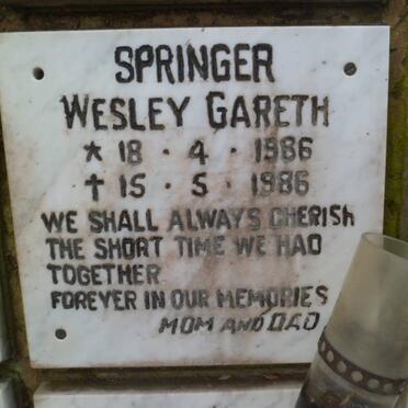 SPRINGER Wesley Gareth 1986-1986