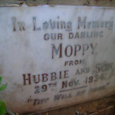 ? Moppy -1934