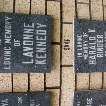 KENNEDY :: RINDER