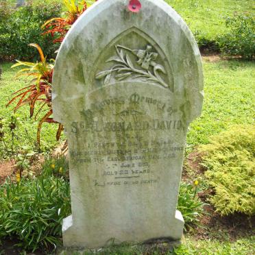 DAVID Leonard -1919